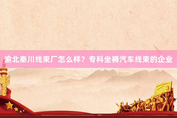 渝北秦川线束厂怎么样？专科坐褥汽车线束的企业